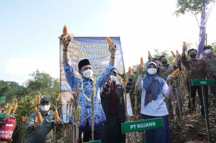Pupuk Kujang di Kabupaten Bandung, Amankan Stok Pupuk hingga Tingkatkan Panen Petani Jagung