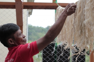 Seorang warga sedang bekerja membuat serat kain daun nanas. Pupuk Kujang mendampingi Koperasi Singgalang Sari Maju di Subang hingga bisa merekrut banyak warga untuk membuat beragam produk olahan nanas 