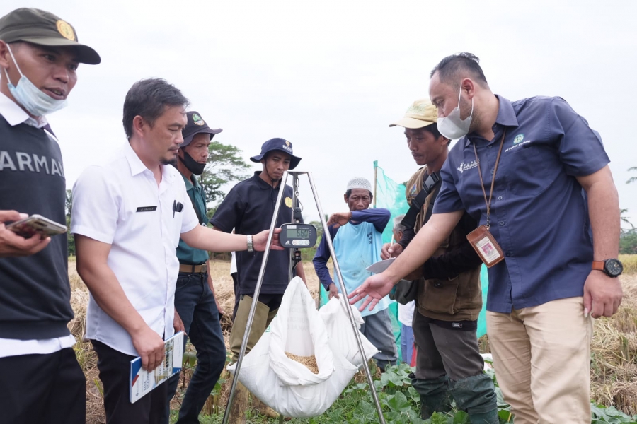 Ikut Program Makmur, Panen Petani Banjar Meningkat Pesat